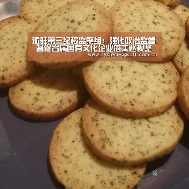 派驻第三纪检监察组:强化政治监督 督促省属国有文化企业落实巡视整改责任-PG电子免费试玩(图1) PG电子免费试玩
