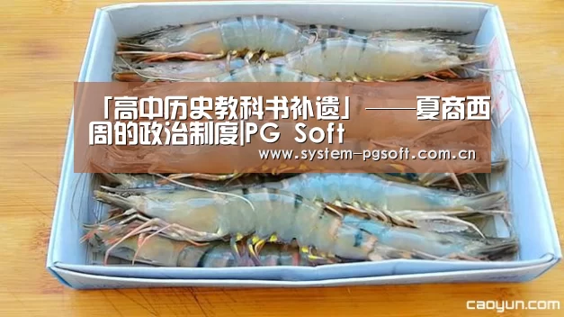 pg电子